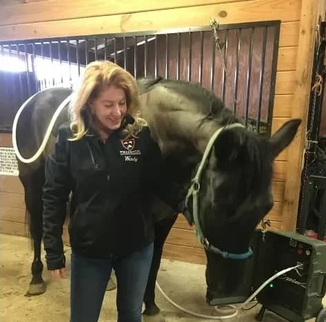 Wendy Graham providing PEMF therapy to a horse at DWT Wellness